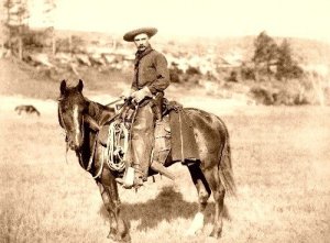 cowboy on his horse