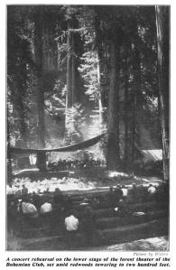 bohemian grove, northern california