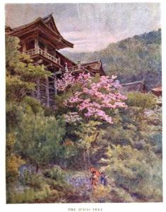 Judas Tree by Walter Frederick Roofe Tyndale