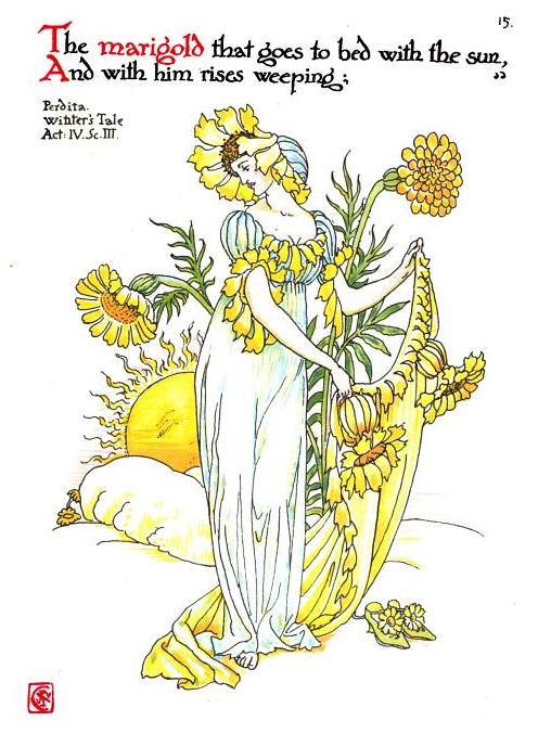 marigold – line from the winter's tale, shakespeare