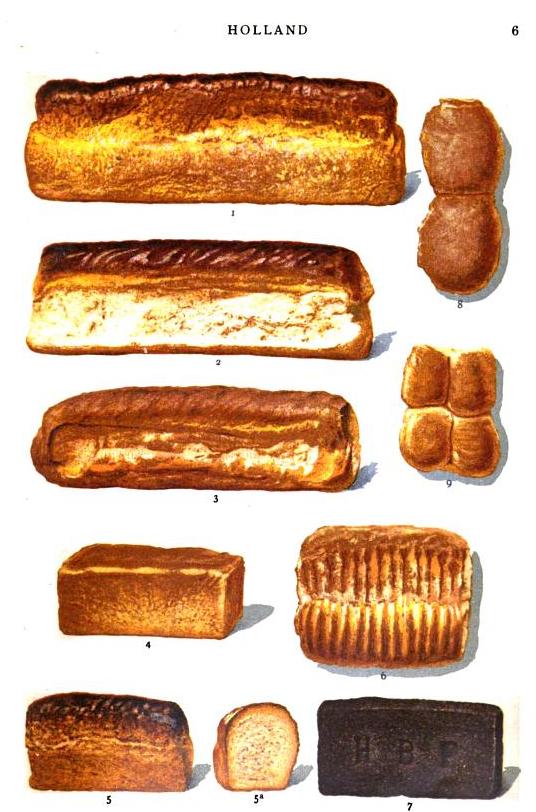 various dutch breads, color illustration