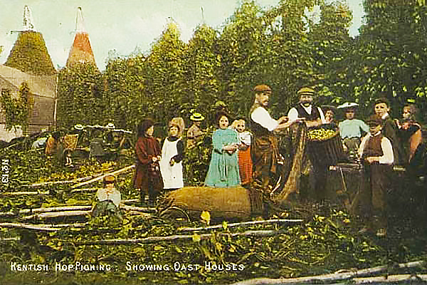 Hop picking in Kent Great Britain